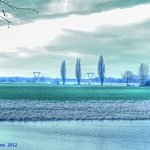 DSCN1697g