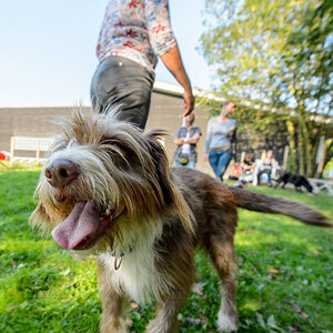 04.09.12 Hunde 117 WEB