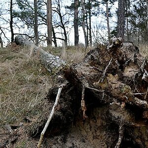 Erlebnis 7 das Leben beendet