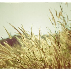 121224MaeTaeng 1 Snapseed
