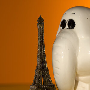 Elefant in Farbe
