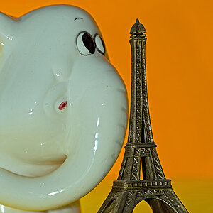 Elefant farbe
