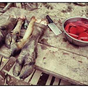 130103PakBeng 1 Snapseed