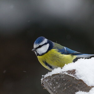 DSC3190 sRGB NF