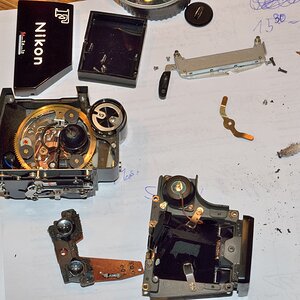 DSC11664