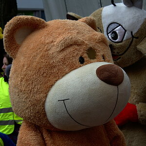 Toon Walk 02 02 13 007 1