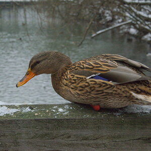 Bilder 26 01 13 119 1