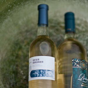 Wein auf Eis