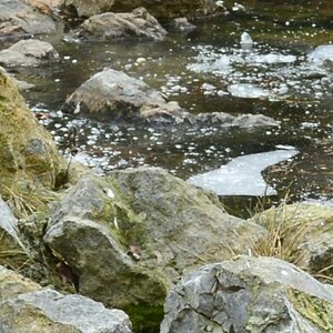 Lake_detail