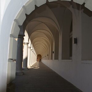 DSC 0017 5