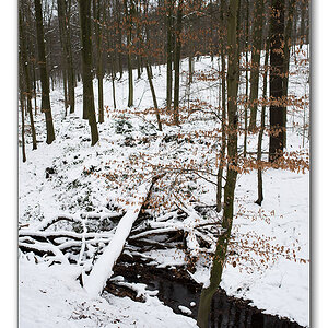 schneechaos