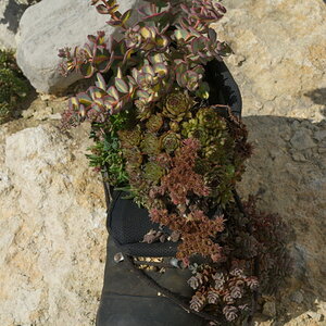 K K P Bilder 07 08 2011 212