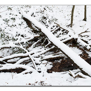 schneechaos2