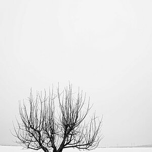 Winter 01