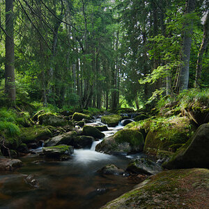 Einer von vielen Wasserläufen im Harz. Mein erster Versuch mit Graufilter die Belichtungszeit zu verlängern.