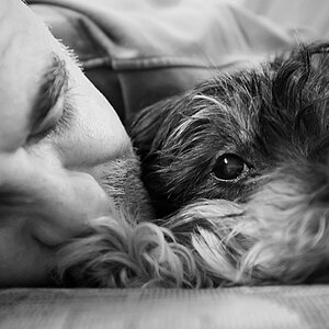 zwei herren