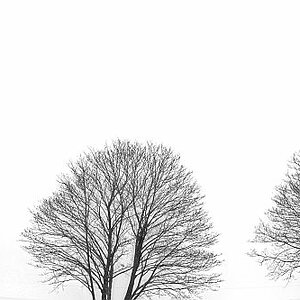 Winter 05