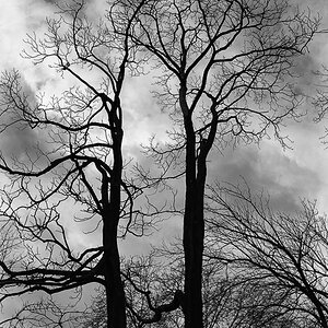 Beim Spaziergang im Neuenheimer Feld (Uni) Heidelberg, Dez. 2013