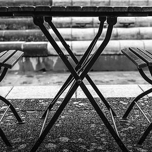 Beim Spaziergang im Neuenheimer Feld (Uni) Heidelberg, Dez. 2013