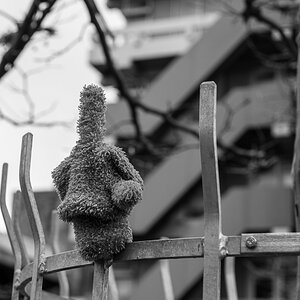 Spaziergang im Neuenheimer Feld (Uni) Heidelberg, Dez. 2013