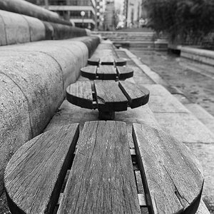 Spaziergang im Neuenheimer Feld (Uni) Heidelberg, Dez. 2013