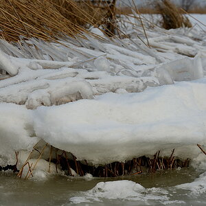 DSC 2290 Bodden Wustrow