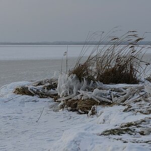 DSC 2314 Bodden Wustrow 26 1 13