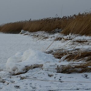 DSC 2327 Bodden Wustrow