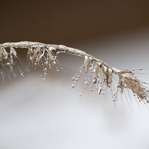 Zum Thread: http://www.nikon-fotografie.de/vbulletin/allgemeine-bildbearbeitung/216583-corel-aftershot-pro.html#post1980314
