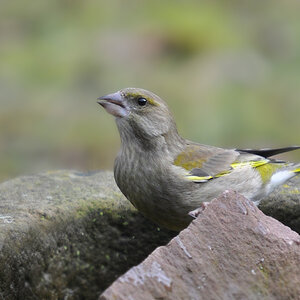 DSC 9279 khg