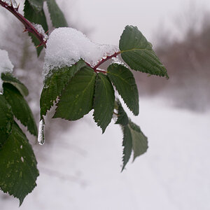 20130123 DSC 0068
