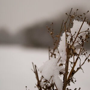 20130123 DSC 0084