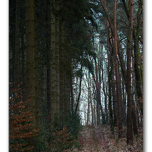 wald12