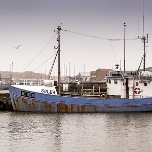 TZ DSC 2179