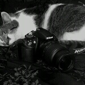 Unsere Nikon D3100