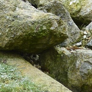 Lake_Detail_2