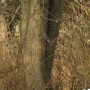 Park_Detail_2