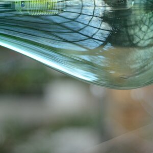 Lampe