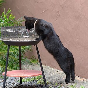 2013 01 04 09 48 40 DSF 2752