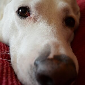 Jack2