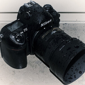 Nikon F6 5