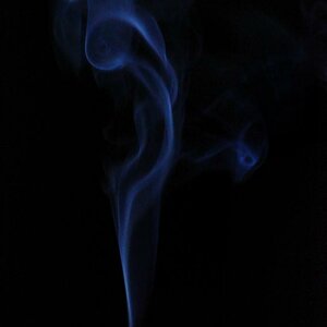 8/365