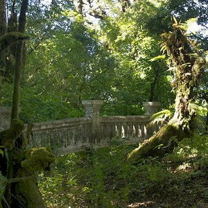 DSC3270   Arbeitskopie 2