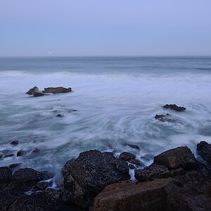 comp Landscape (37)