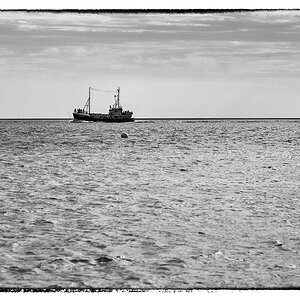 Schiff 1