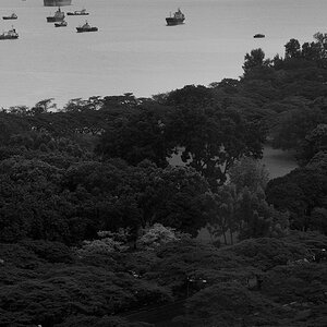 Singapur 2012 2013 1019744