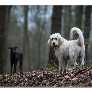 silvestertreffen