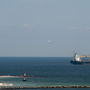 Schiff 10