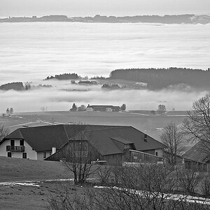 2121225 7415 sw Eidenberg Alm Nebel