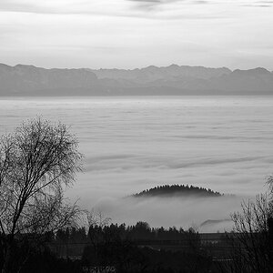2121225 7420 sw Eidenberg Alm Nebel